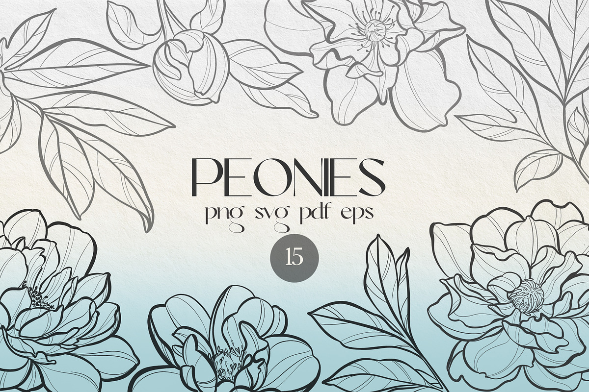 Peonies SVG line art PNG, EPS, PDF, a Decorative Illustration by DamriNa art (Photo 1 of 5)