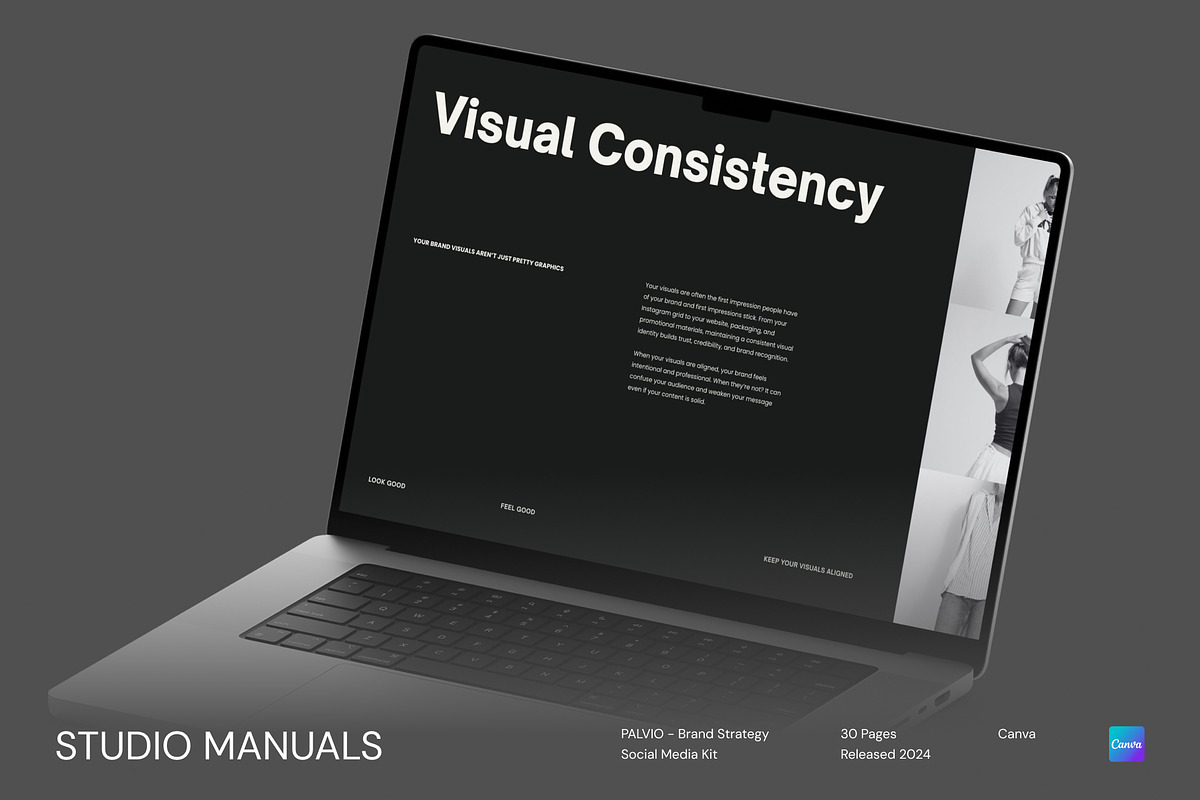 PALVIO - Brand Strategy Social Media, a Social Media Template by Studio Manuals (Photo 5 of 8)