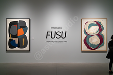 Fusu Typeface: Elegant Serif for Lux