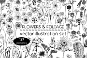 Flowers & foliage - illustrations, a Decorative Illustration by Renée from Studio neetje (Thumbnail 1 of 4)