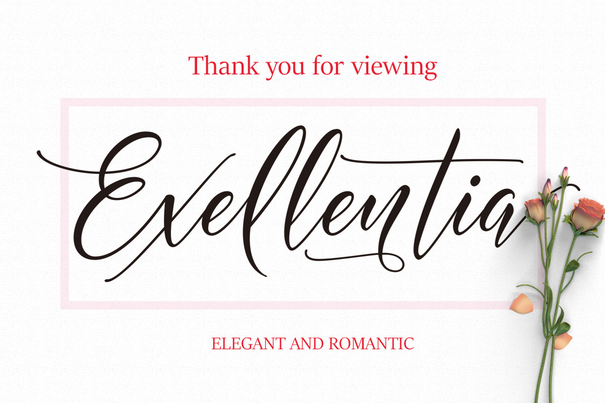 Exellentia, a Script Font by Byuly Ayika (Photo 10 of 10)