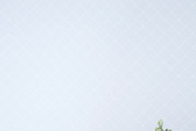 Styled Stock Bundle: Mompreneurs, a Social Media Template by ET | Stock Photography (Thumbnail 10 of 25)
