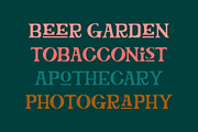 Rumpunch Serif All-Caps Display Font, a Font by Holt510 (Thumbnail 5 of 13)