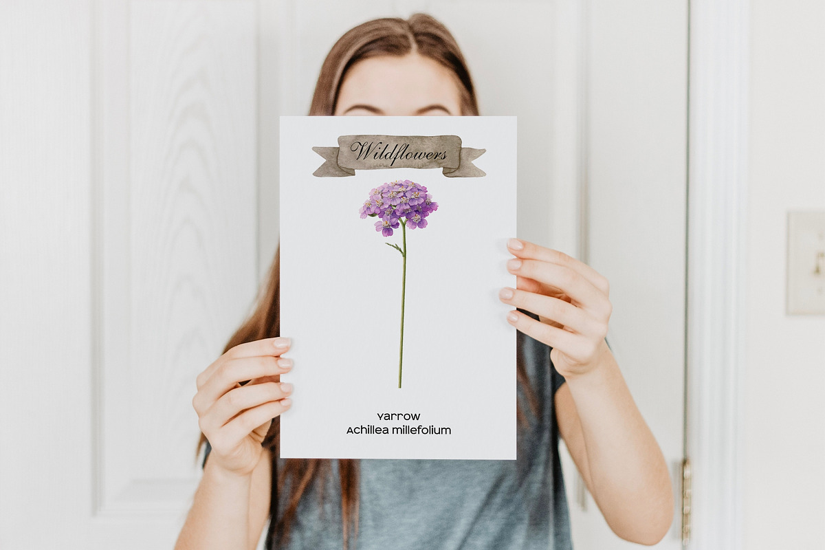 Watercolor wildflower meadow clipart, an Object Illustration by Art and Funny (Photo 3 of 4)
