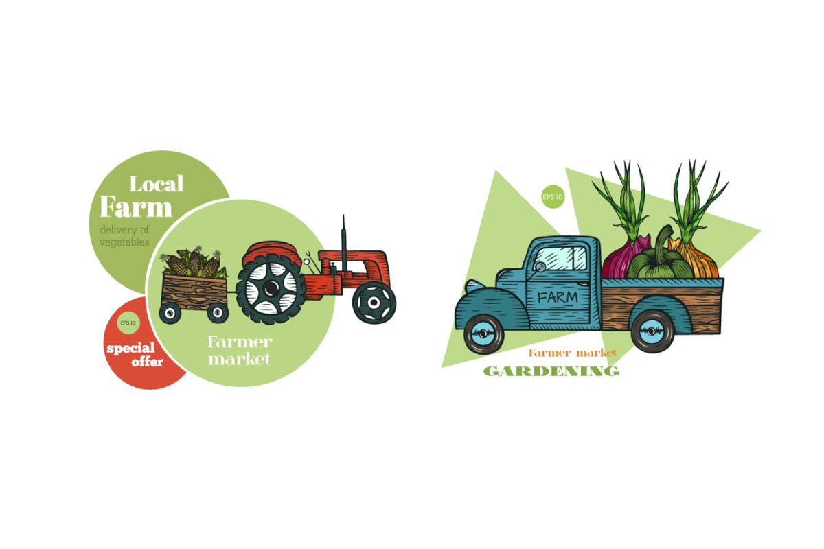 Vector vegetables, a Food Illustration by TashaDraw (Photo 10 of 13)