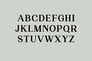 Silvex Editorial Serif Family Font, a Serif Font by UICreative (Thumbnail 8 of 13)