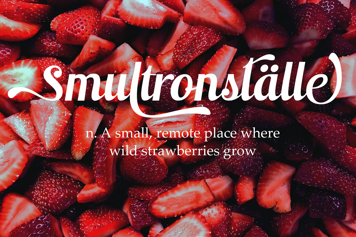 Switzerland, a Script Font by Funtype (Photo 4 of 14)