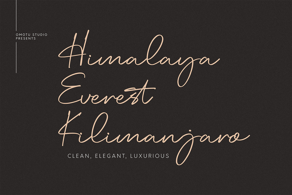 Angora, a Script Font by Omotu Studio (Photo 4 of 12)