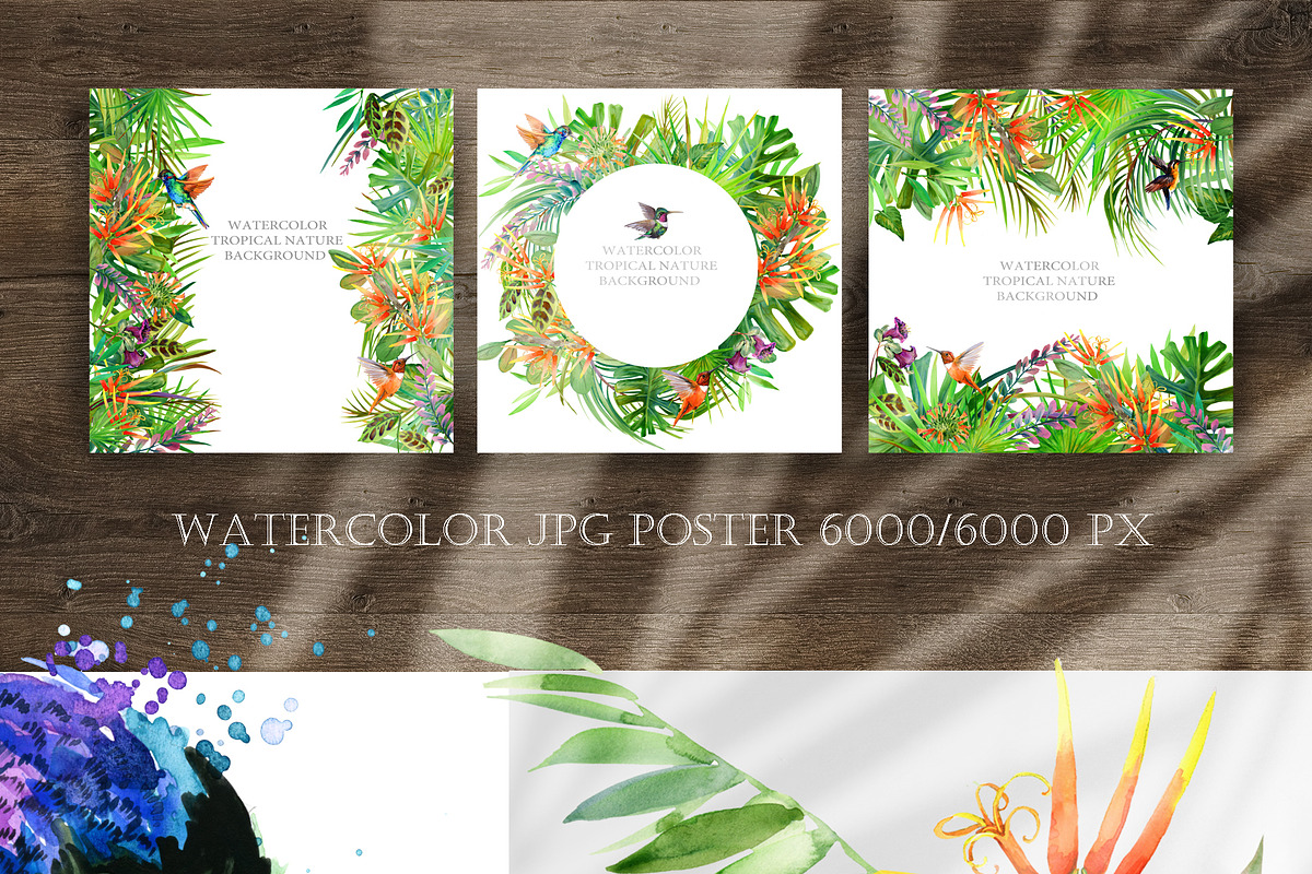 Watercolor Tropical plant & Bird, an Object Graphic by FineArt (Photo 7 of 22)