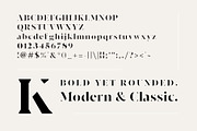 Modernist Milk -Fashion Stencil Font, a Serif Font by Tropical Type (Thumbnail 7 of 7)