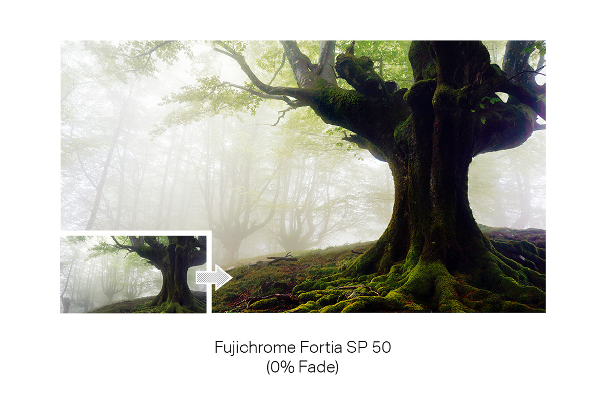 33 Pro Matte Film Actions, an Action Add-On by SparkleStock (Photo 7 of 9)