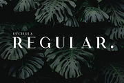 Luciella | A Poetic Font Family, a Serif Font by Zone 6 (Thumbnail 2 of 8)