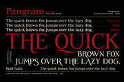 Luciferum - Serif font family, a Serif Font by Artistic & Unique (Thumbnail 15 of 15)