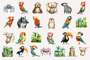 Quirky Rainforest Animals, an Animal Illustration by PaintPixelCo (Thumbnail 18 of 19)