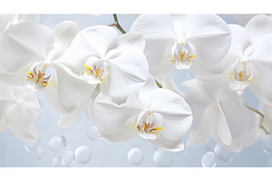 nature white flower background ai, a Nature Photo by pikepicture