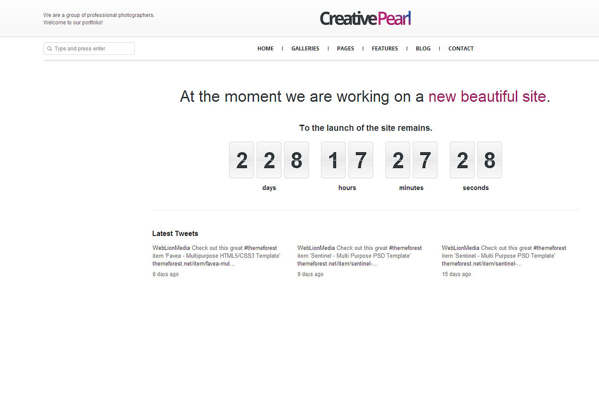 CreativePearl - Photography WP Theme, a WordPress Template by weblion (Photo 16 of 23)