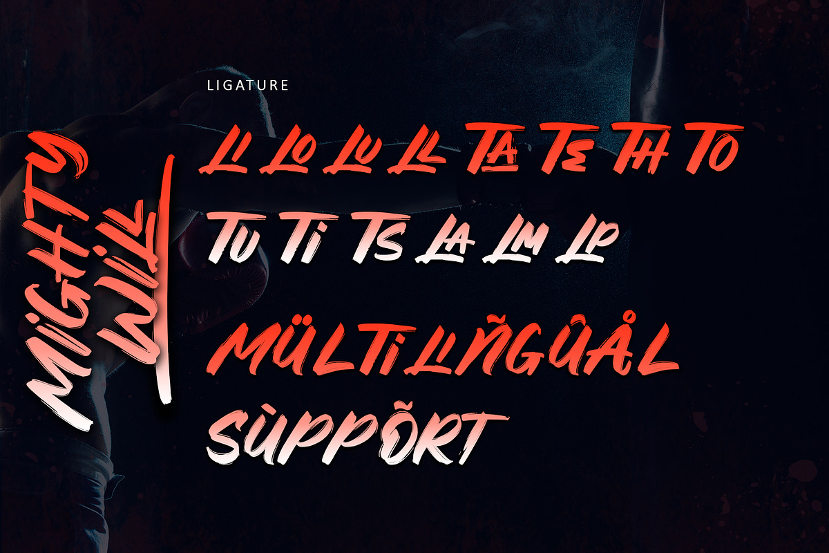 Mightywill, a Handwritten Font by Letterara (Photo 9 of 11)