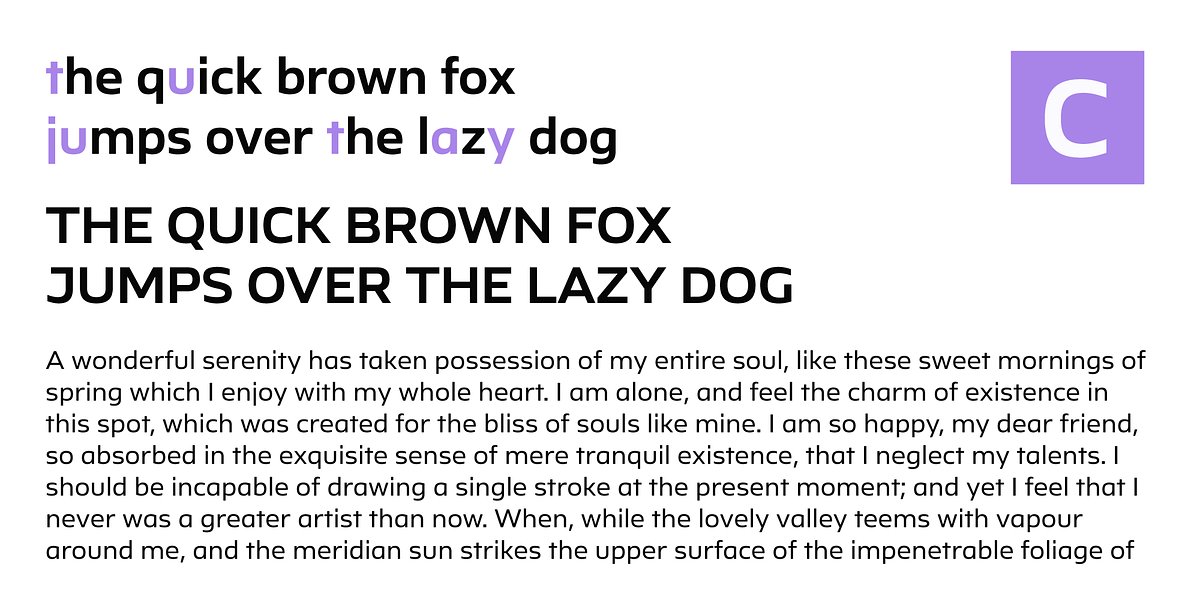 Ambulatoria B, a Sans Serif Font by Pepper Type (Photo 6 of 15)