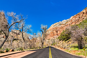 Zion Canyon Scenic Drive in Zion Nat, a Nature Photo by Leonid Andronov