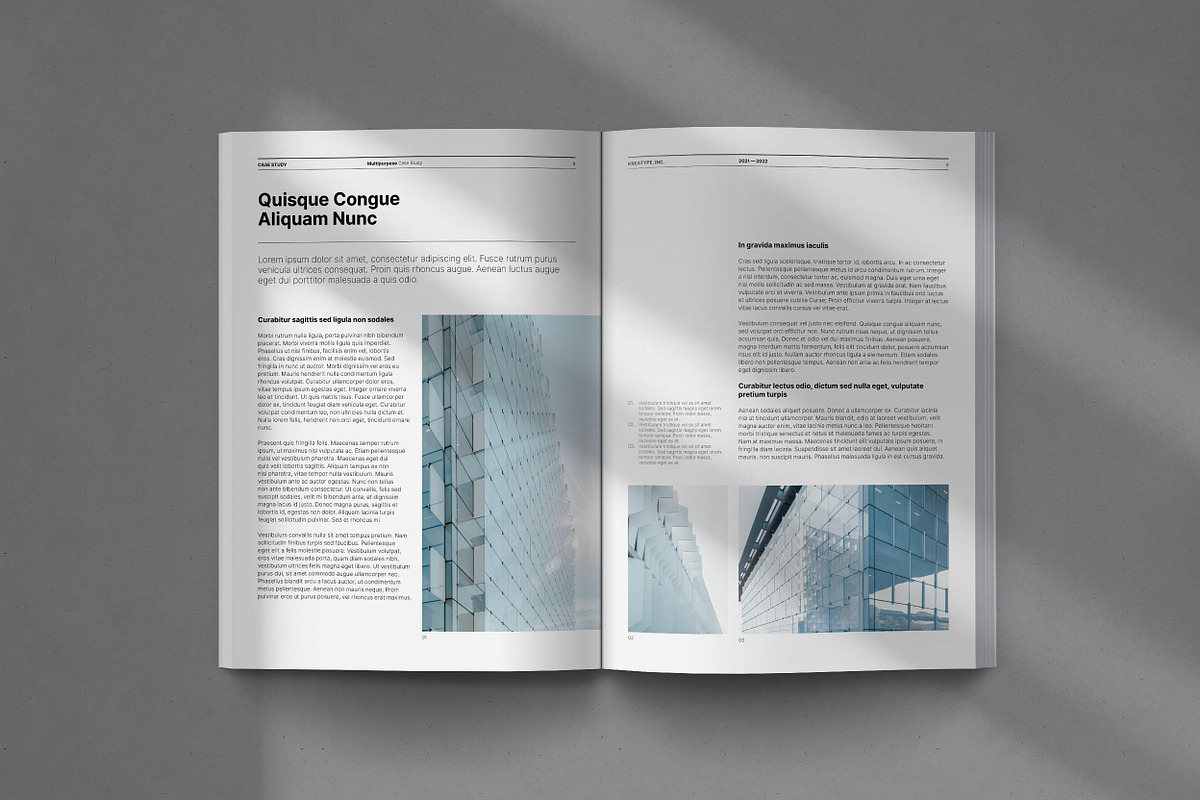 Kreatype Case Study, a Brochure Template by Kreatype Studio (Photo 7 of 17)