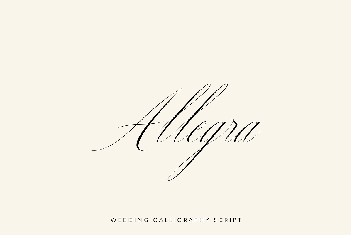 Allegra Script, a Script Font by Creative Foundry (Photo 1 of 8)