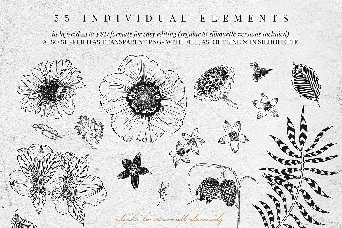 Vintage garden flower meadow lineart, an Illustration by Sophia J Caldwell (Photo 5 of 17)
