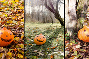 Rustic Pumpkin Garden, a Holiday Photo by pictures for you (Thumbnail 8 of 11)