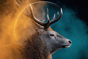 Majestic deer with colorful smoke and halo effect, an Animal Photo by AlyaAnd
