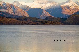 Mountain Sunrise Lake Wanaka, a Nature Photo by THP Creative