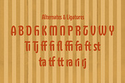 Kendali - Display Font, a Sans Serif Font by Get Studio (Thumbnail 8 of 11)