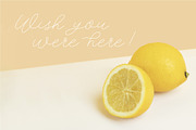 Lemon Line Single Line Font, a Font by Design by Laney (Thumbnail 14 of 14)