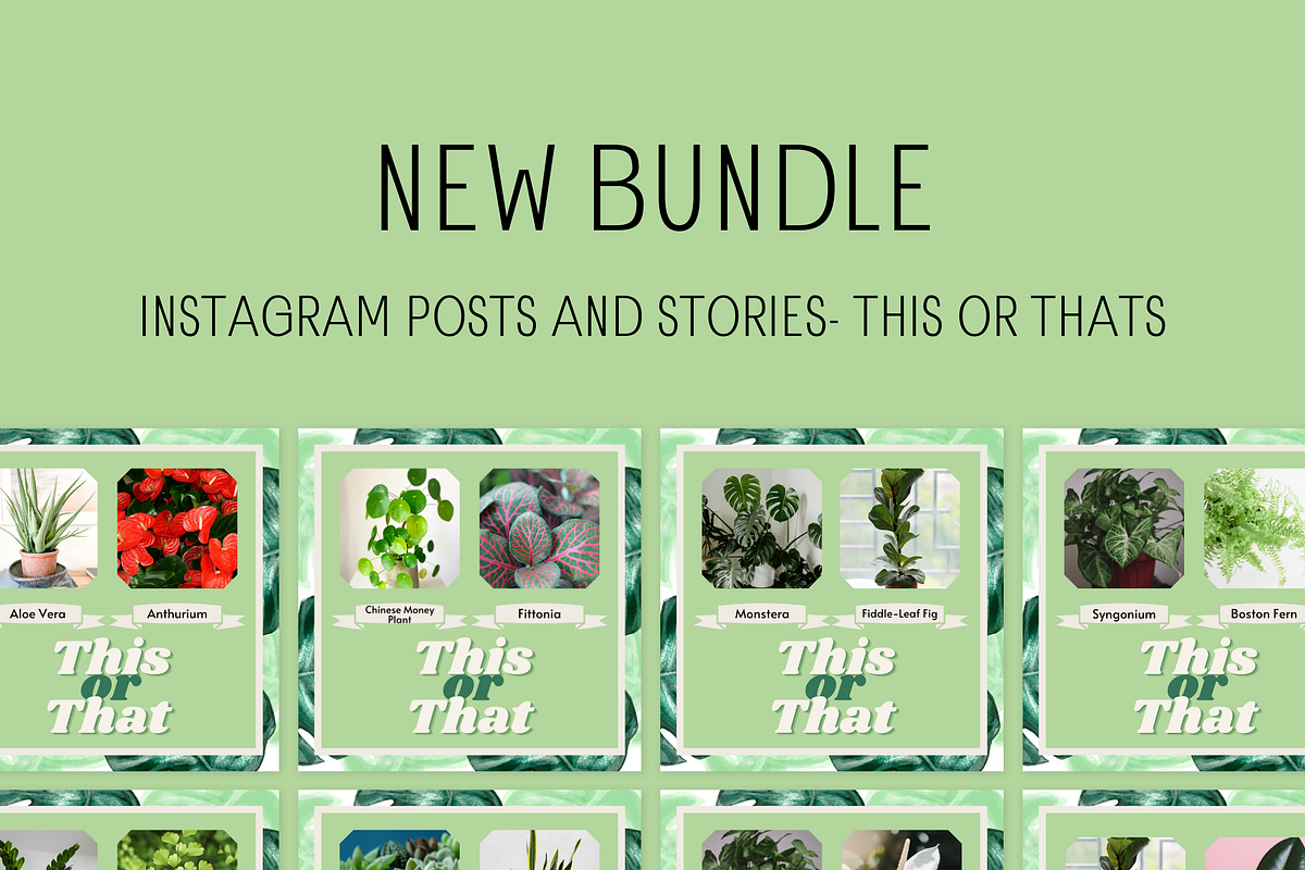 210 Canva Plant Instagram Bundle, a Social Media Template by Emerald Eyes Design (Photo 8 of 13)