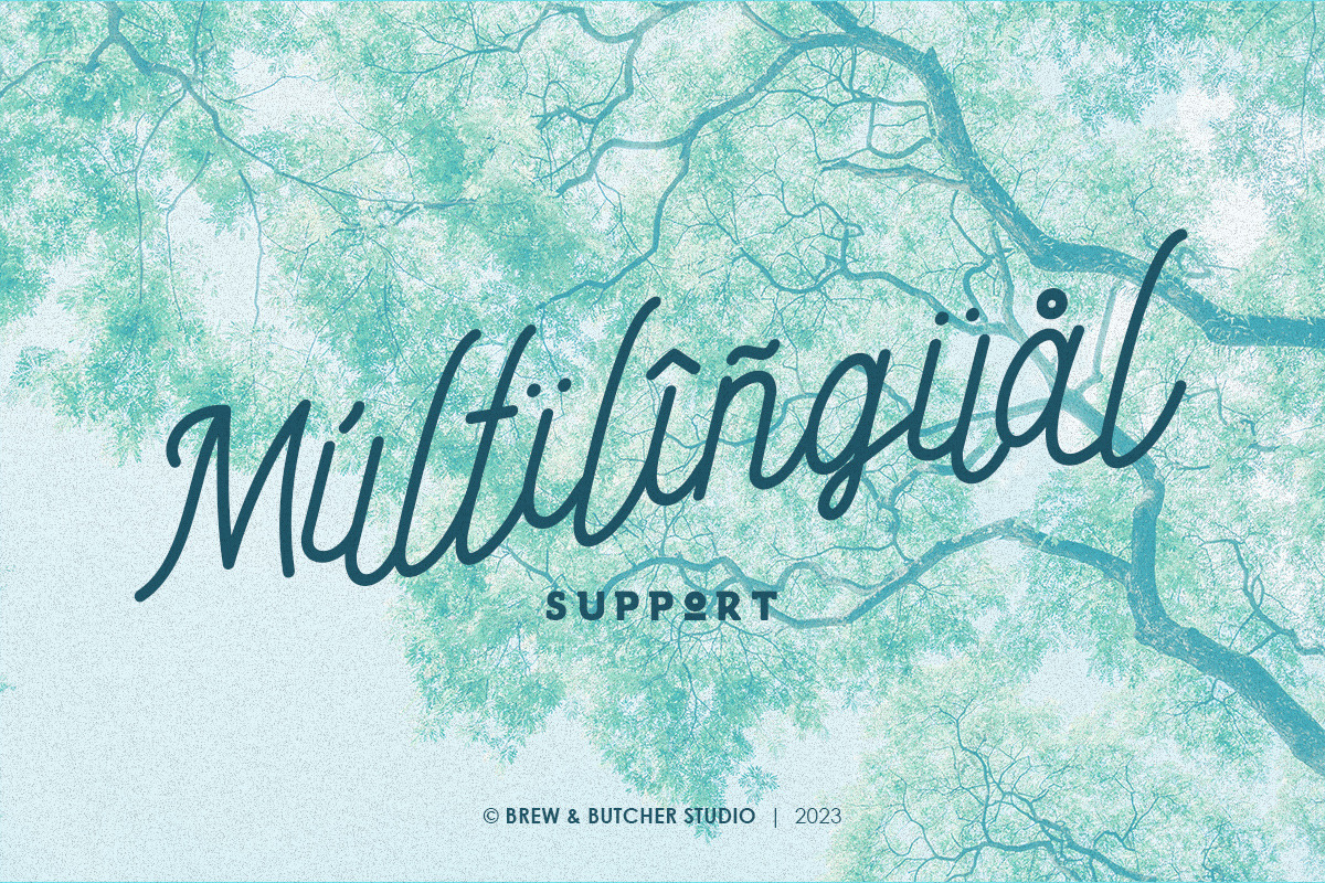 Endago | Monoline Typeface, a Handwritten Font by Brew & Butcher Studio (Photo 6 of 8)