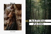 Forest Stock Photos | Moody Woodland, a Nature Photo by Tale.Haus (Thumbnail 10 of 20)