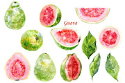 Watercolor tropical fruits., an Illustration by TaPilipa (Thumbnail 11 of 39)