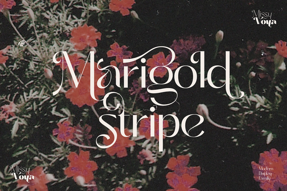 Missy Voya - Modern font family, a Sans Serif Font by creativemedialab (Photo 5 of 23)