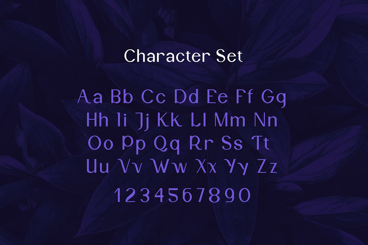 Monquerta, a Serif Font by Dhwstd (Photo 3 of 6)