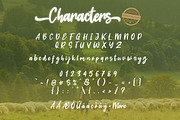 Dream Meadow Script, a Script Font by khurasan (Thumbnail 8 of 9)