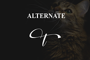 Creature | Script Font, a Blackletter Font by Scratchones (Thumbnail 8 of 9)
