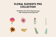 183+ Flowers & Elements Collection, an Illustration by AN Productions (Thumbnail 16 of 17)