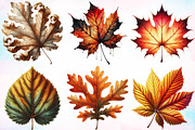 Watercolor Fall Foliage Clipart PNG, a Seasonal Illustration by Canvas Craft (Thumbnail 2 of 7)