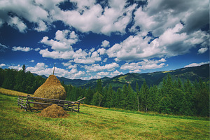 Summer mountain landscape, a Nature Photo by Nature and travel