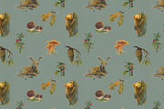 Autumn in the forest. Art set, an Animal Illustration by Shusha Guna Art (Thumbnail 9 of 12)