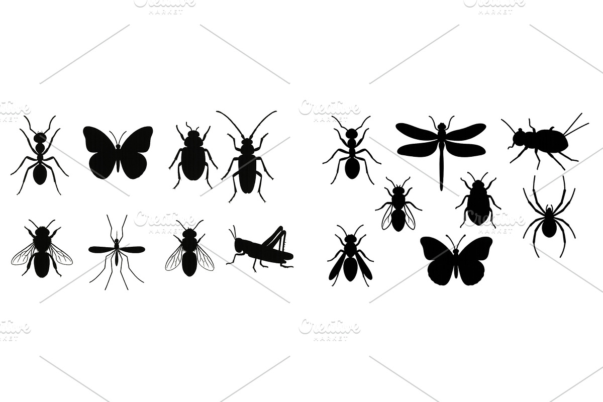 Insect silhouettes showcasing, an Animal Illustration by ZinetroN