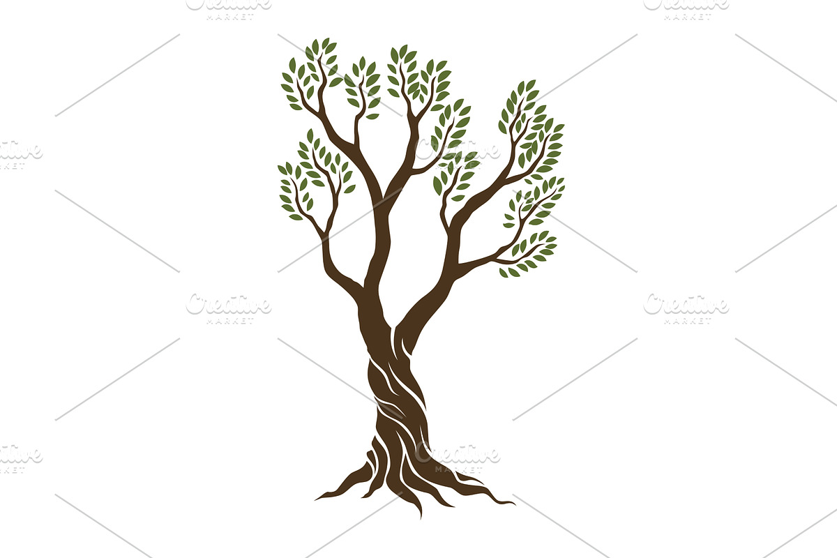 Olive trees with branches and, a Food Illustration by Things for designers