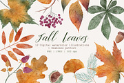 Fall Leaves | Cliparts & Pattern, a Decorative Illustration by OkPen (Thumbnail 1 of 5)