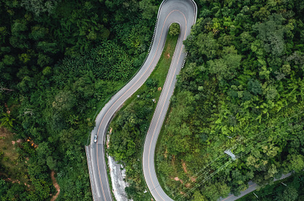 mountain road and green trees from above, a Nature Photo by Art Rachen