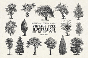 Vintage Tree Vector Bundle Vol. 1