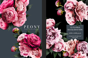 Peony Floral Clip Art