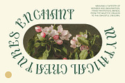 CS Bailey – Art Nouveau Font, a Serif Font by Craft Supply Co. (Thumbnail 6 of 8)